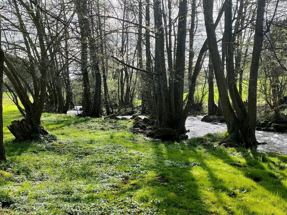 Wind in den Weiden, Übernachten am Bachlauf House in Hesse