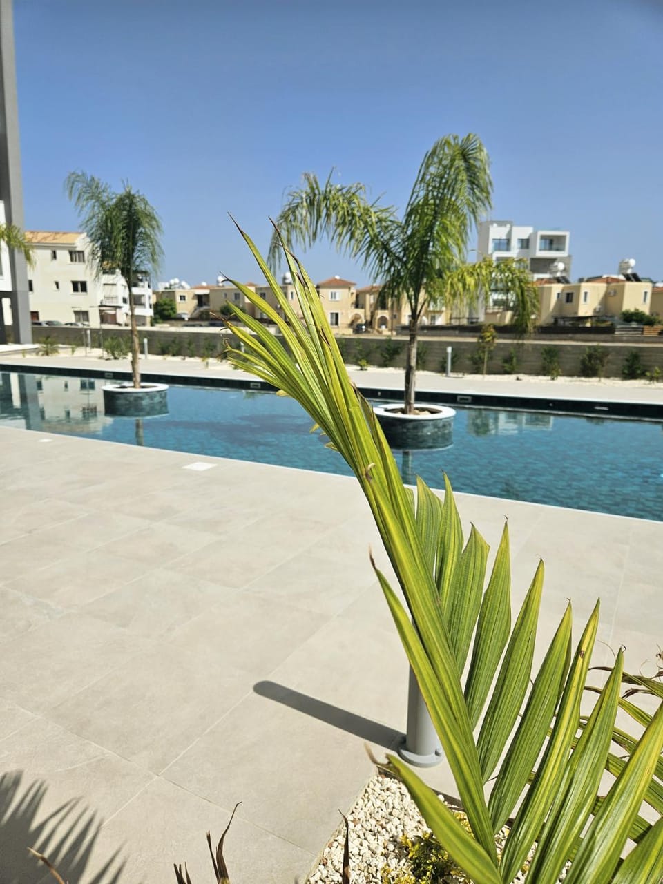 Day, Natural landscape, Pool view, Swimming pool