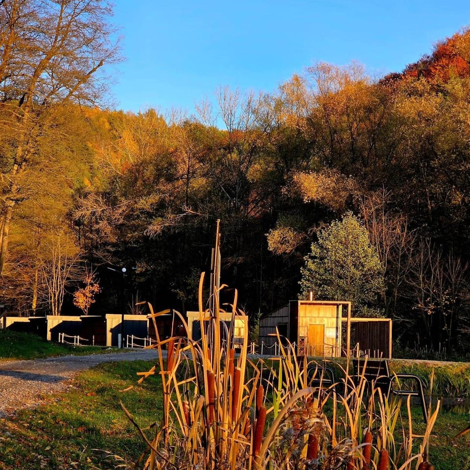 Natural landscape