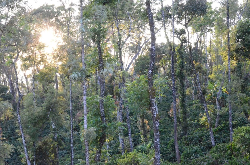 Natural landscape