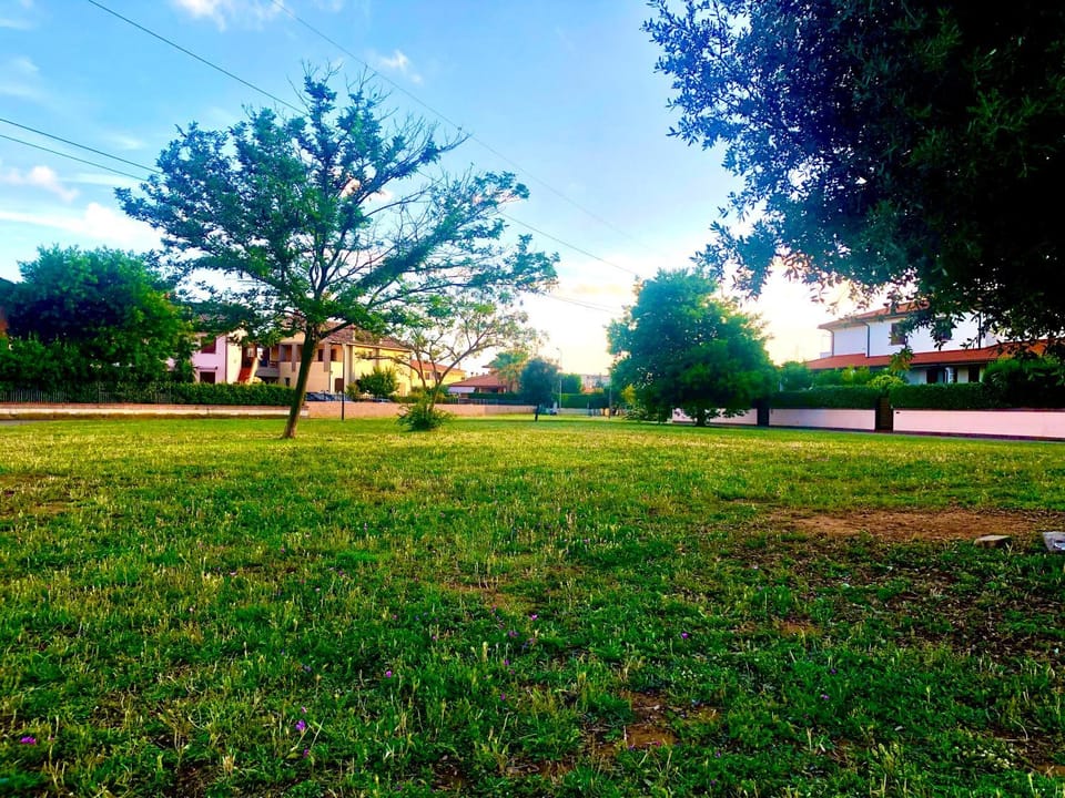 Natural landscape
