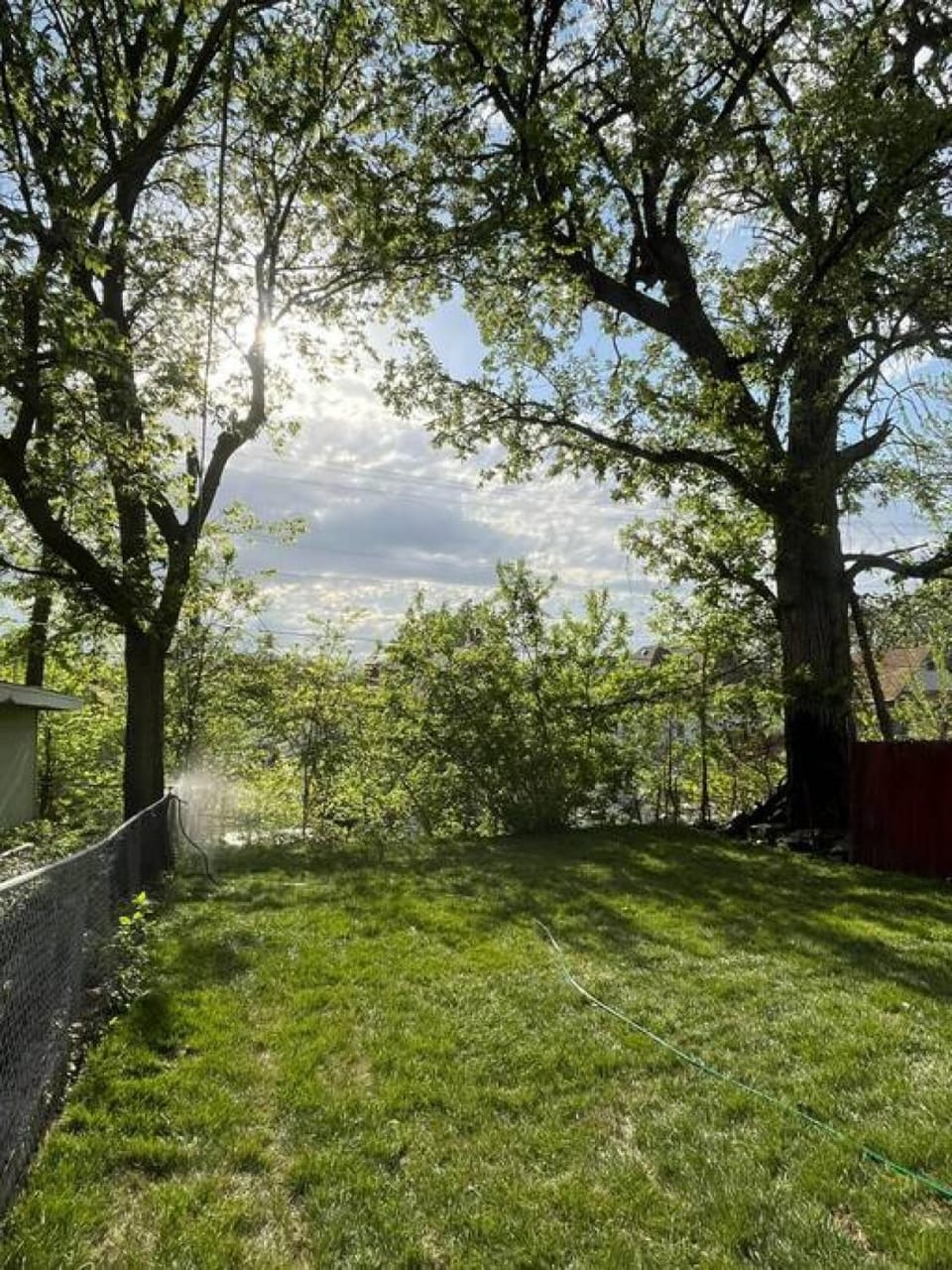 Spring, Day, Natural landscape, Garden, Garden view