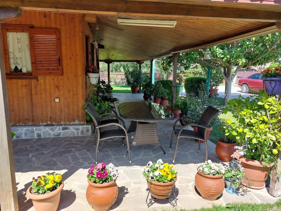 Patio, Garden, Dining area, Garden view