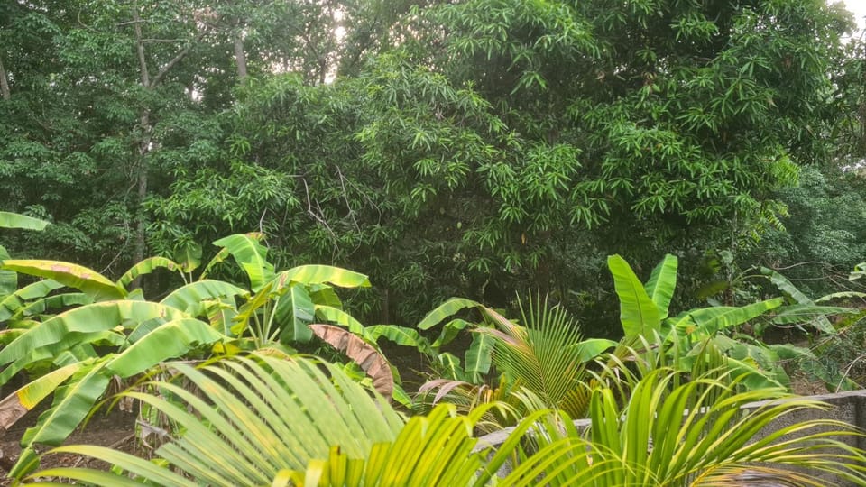 Surabhi-Nature Villa , Private floor AC Bed and Breakfast in Kerala