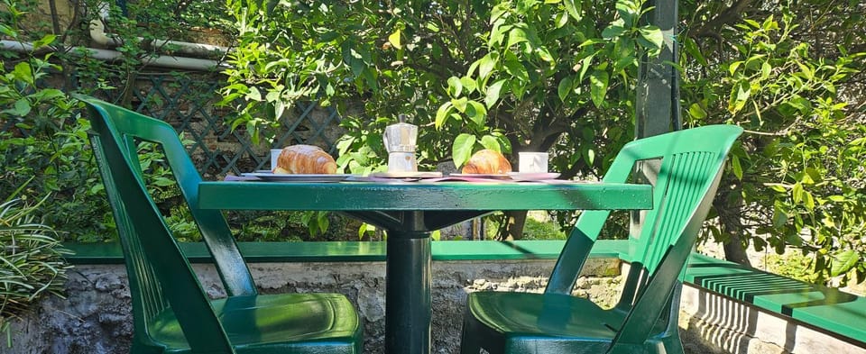 Food and drinks, Dining area, Garden view