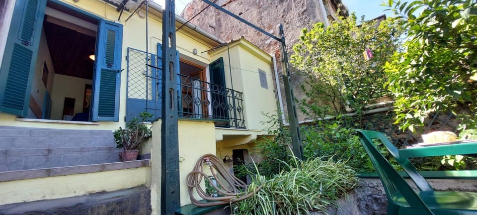 Property building, Garden, Garden view