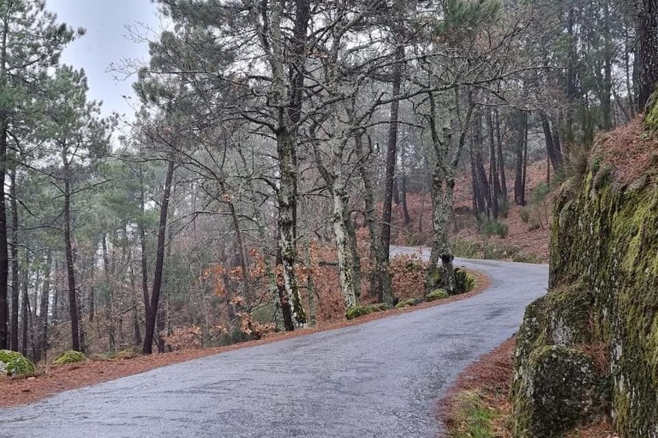 Spring, Day, Natural landscape
