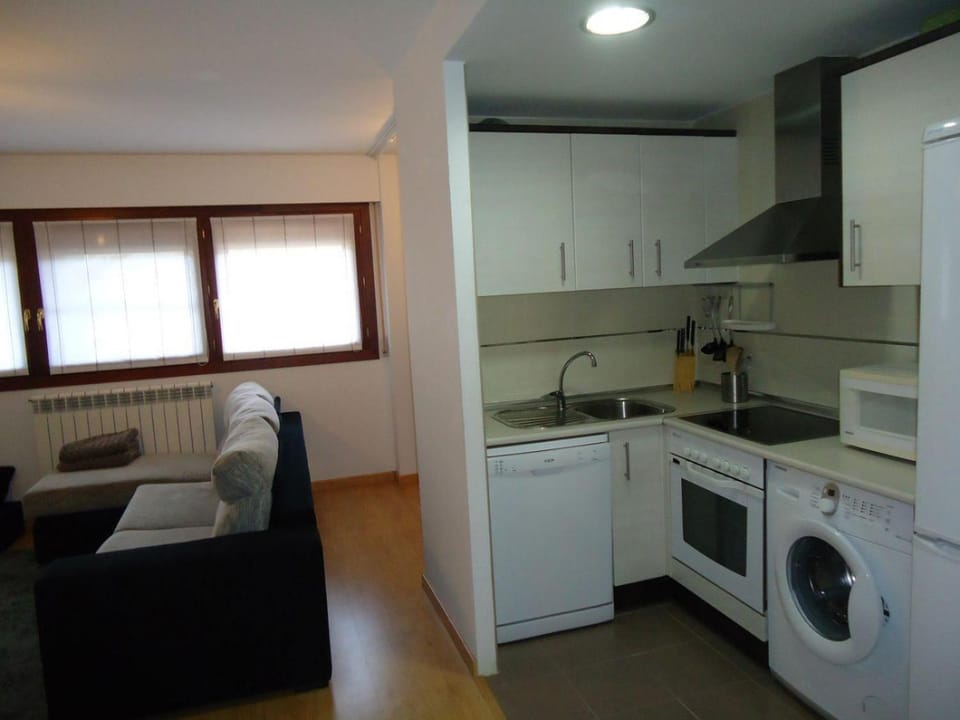 Kitchen or kitchenette, dishwasher, minibar, pet friendly, stove, washing machine
