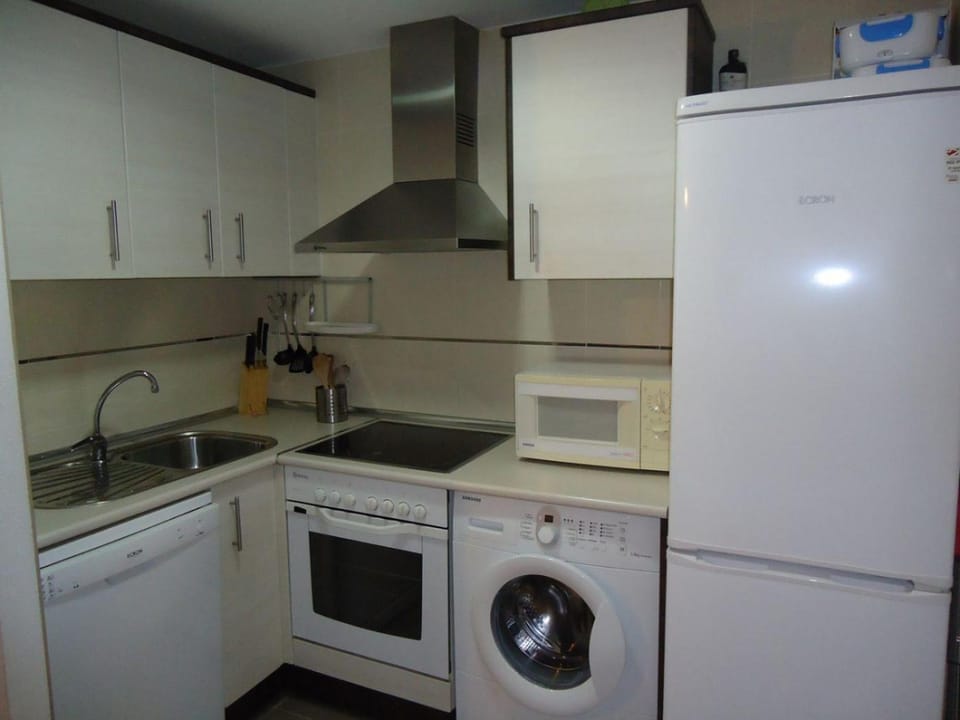 Kitchen or kitchenette, dishwasher, minibar, pet friendly, stove, washing machine