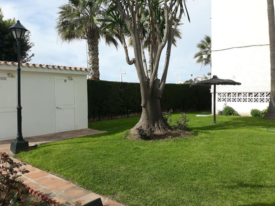 Day, Garden, Swimming pool