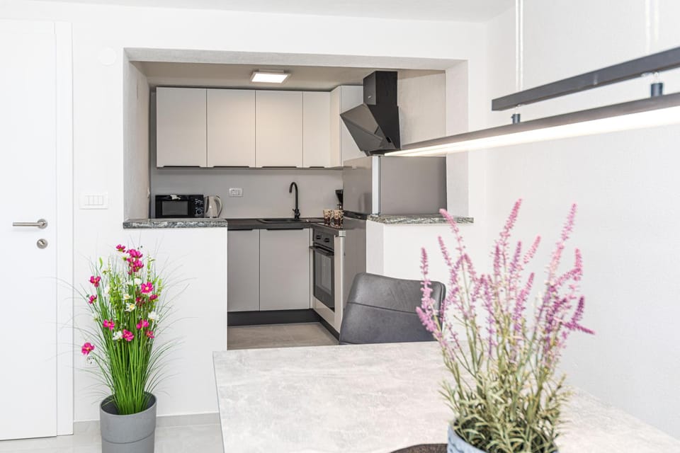 Kitchen or kitchenette, dishwasher, minibar, pet friendly, stove