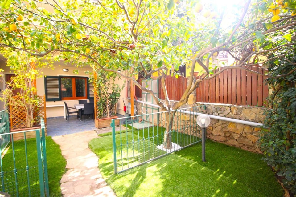 Patio, Garden, Garden view
