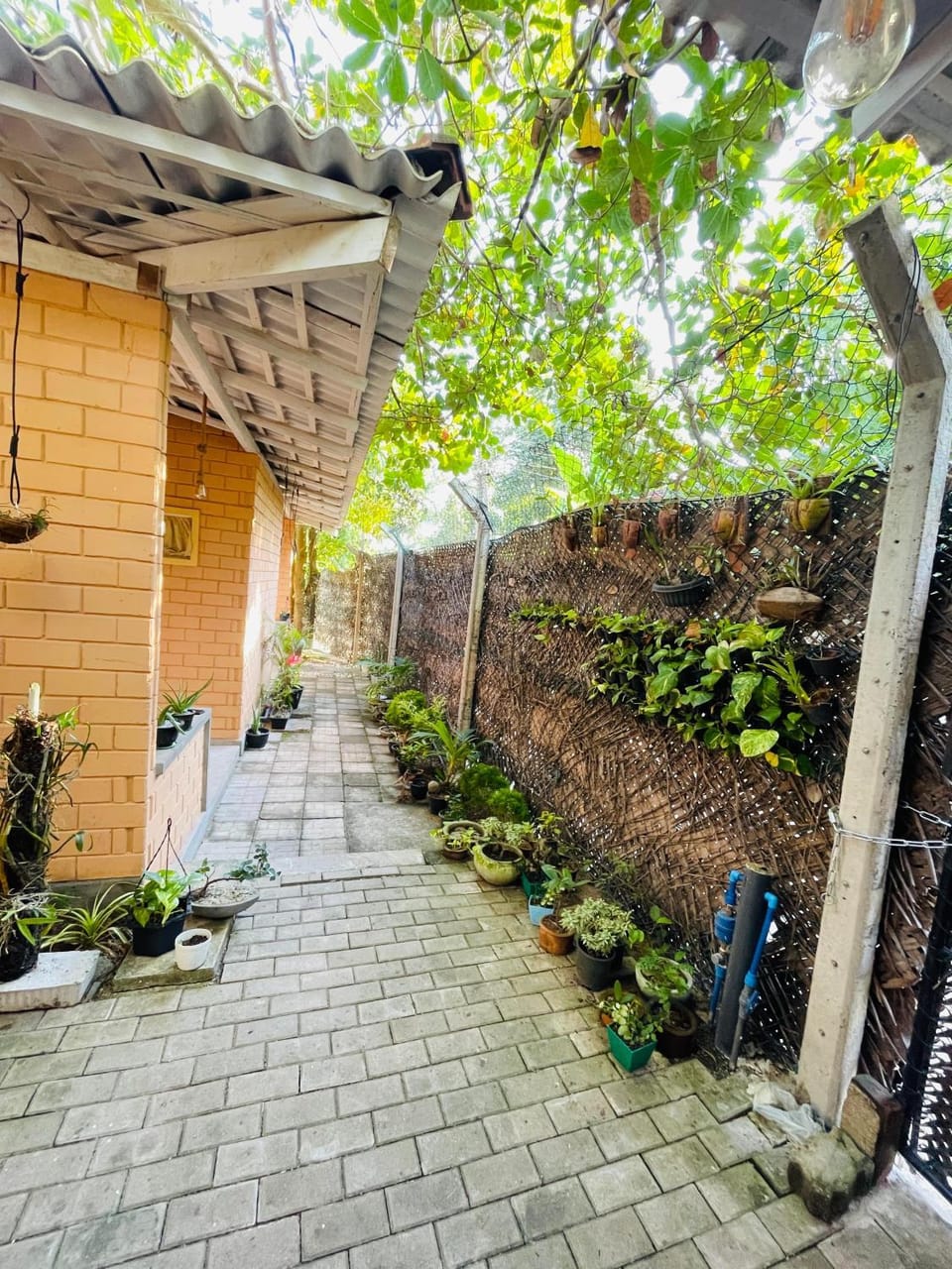 Property building, Day, Garden view