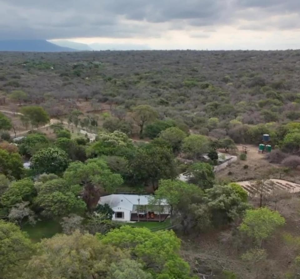 Kruger Park Farmstay near Orpen Gate House in South Africa