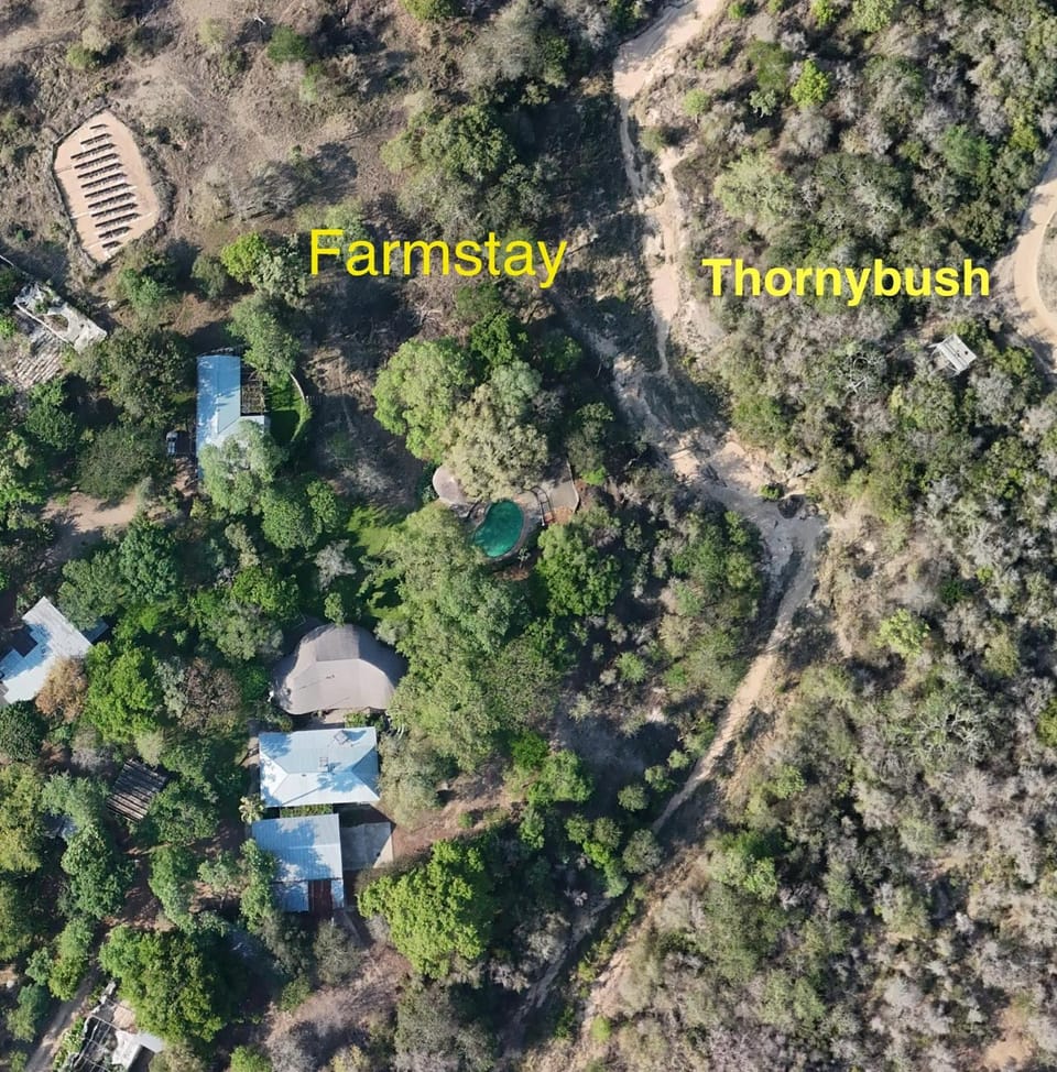 Kruger Park Farmstay near Orpen Gate House in South Africa