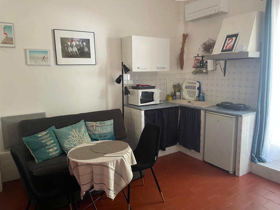 Studio Climatisé pour 2 pers - Salins de Giraud House in Arles