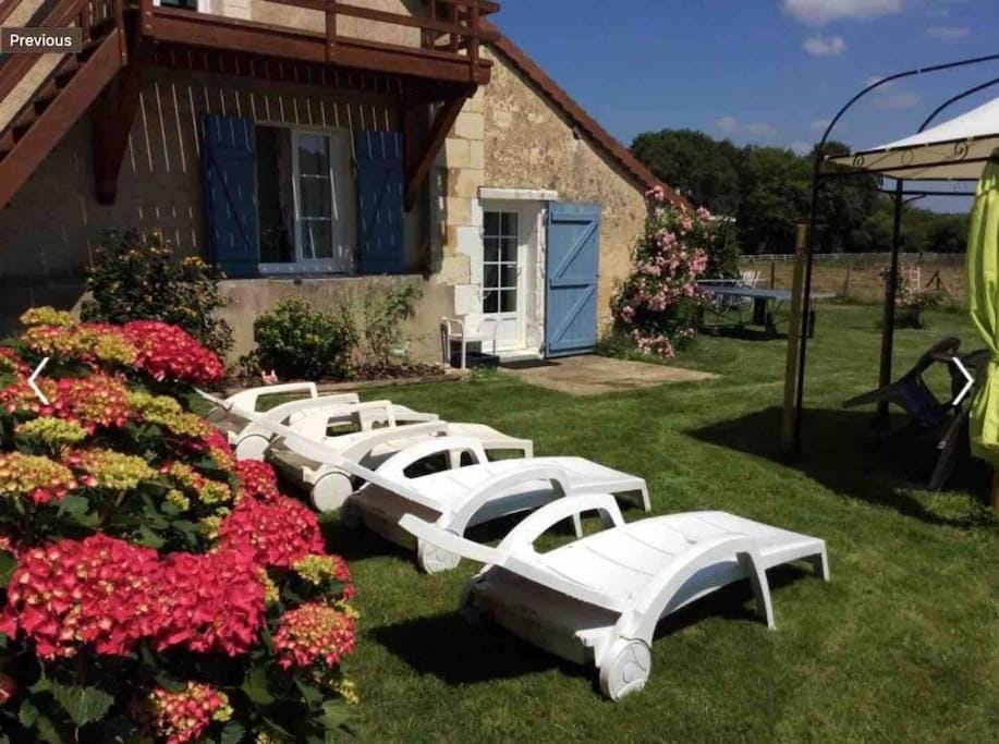 Spring, Garden, Garden view, sunbed