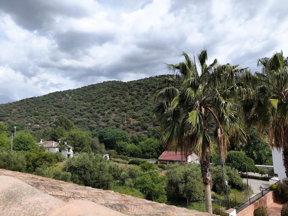 Natural landscape, View (from property/room), Mountain view