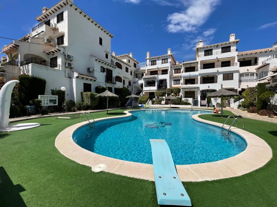 Lobo en Cabo Apartment, Cabo Roig , Orihuela Costa Apartment in Vega Baja del Segura