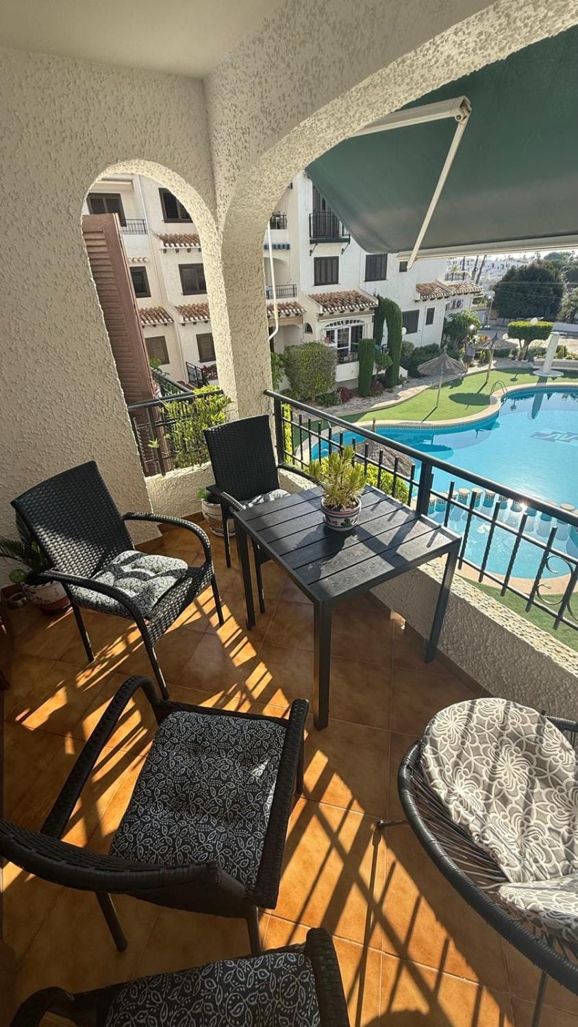 Lobo en Cabo Apartment, Cabo Roig , Orihuela Costa Apartment in Vega Baja del Segura