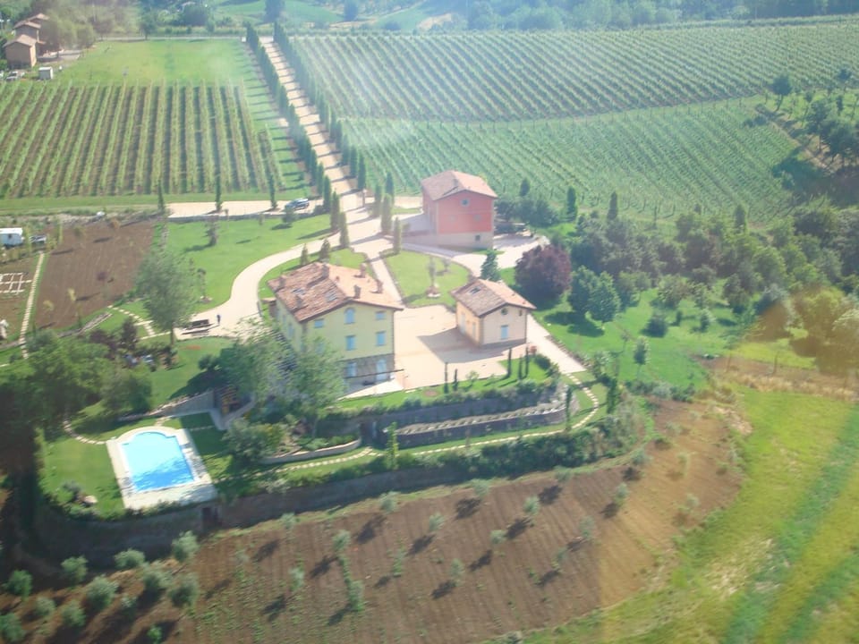 Bird's eye view, Garden