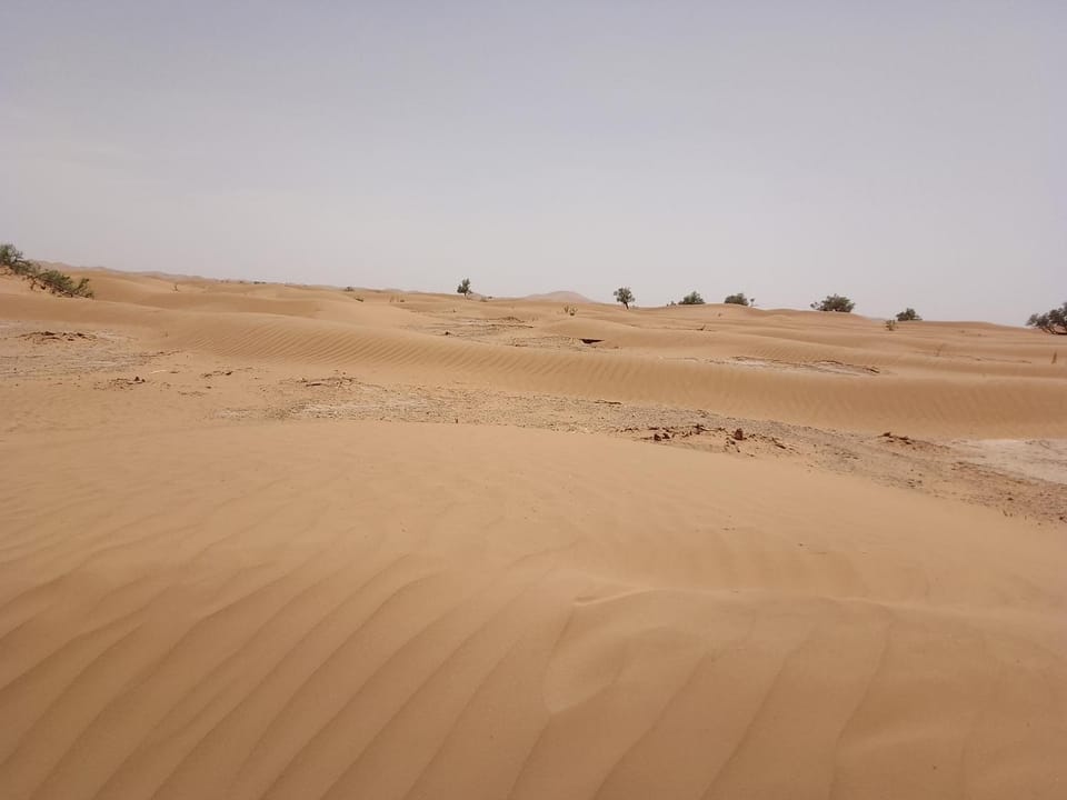 Day, Natural landscape