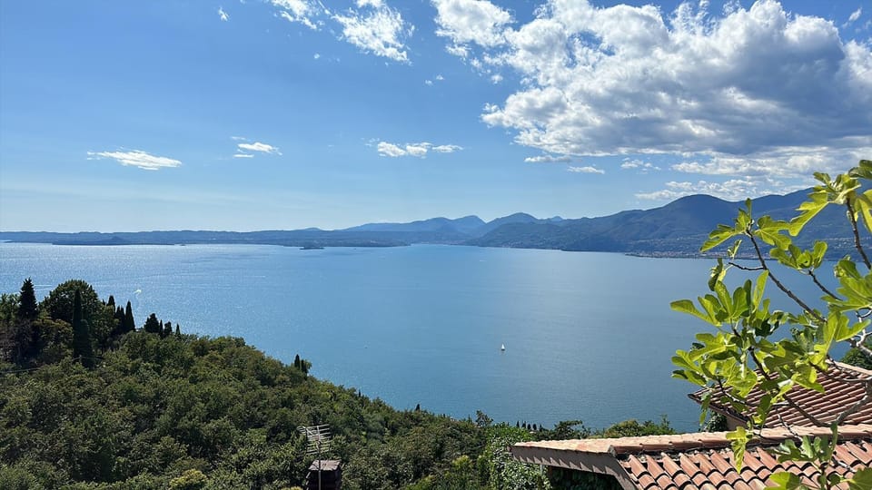 Lake view
