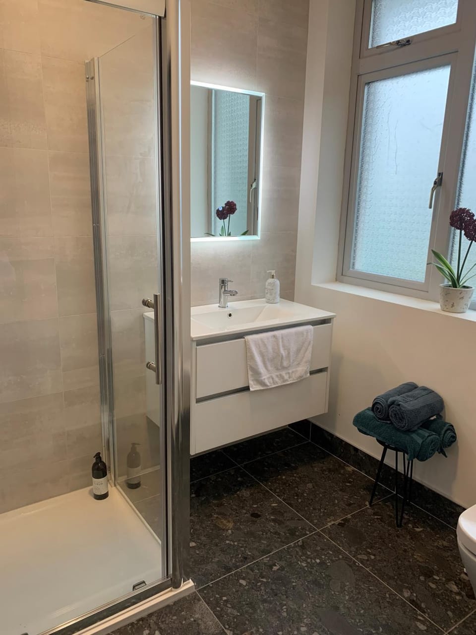 Shower, Toilet, towels