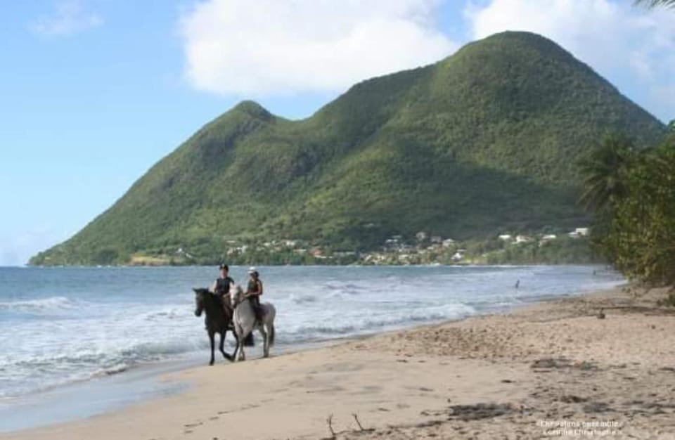 Nearby landmark, Horse-riding, Beach