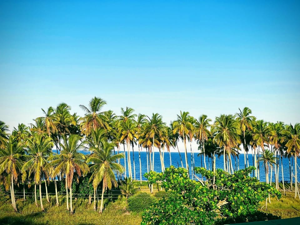 Sea view