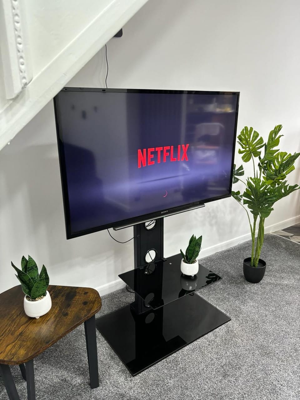 TV and multimedia
