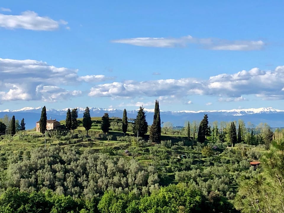 Mountain view