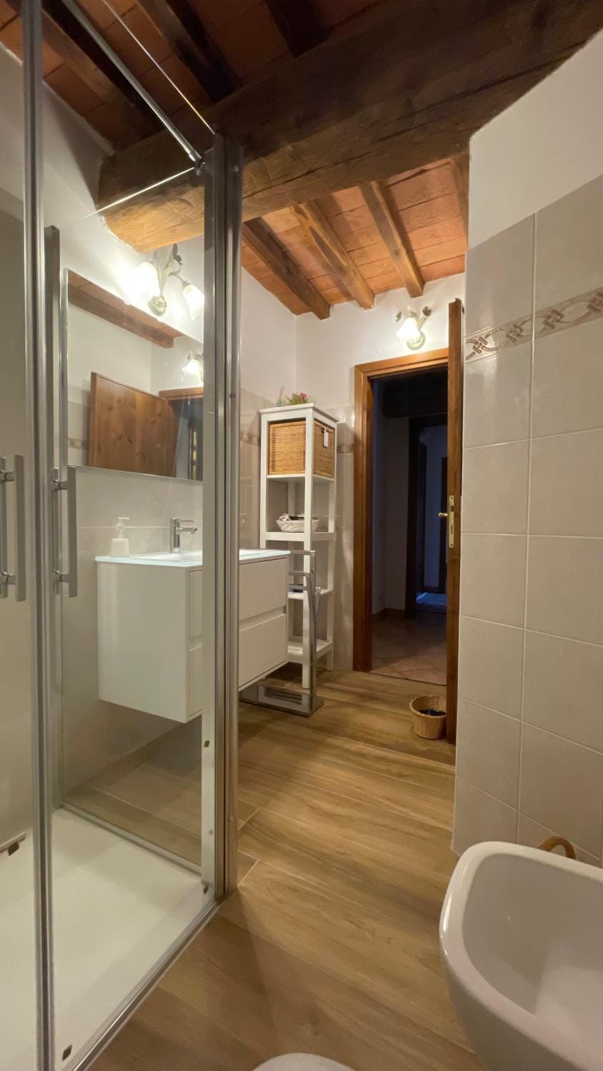 Shower, Toilet, Bathroom, bidet