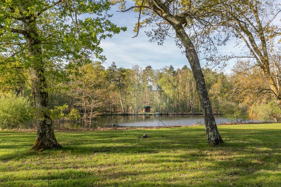 Spring, Day, Natural landscape, Fishing, Garden, Garden view, Lake view