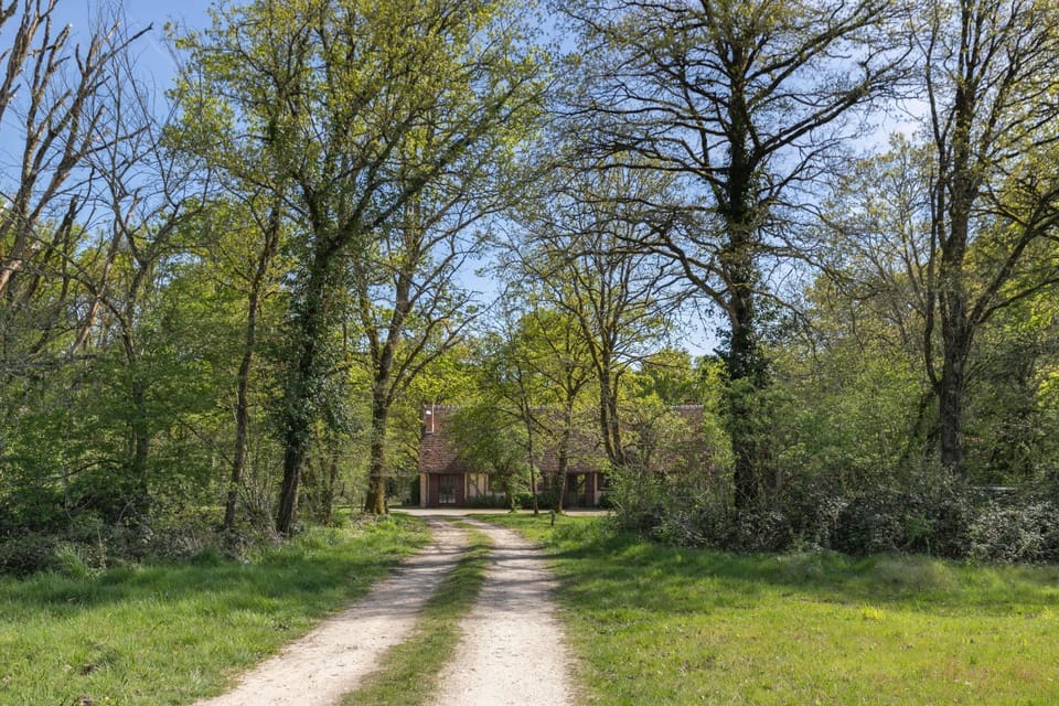 Spring, Day, Natural landscape