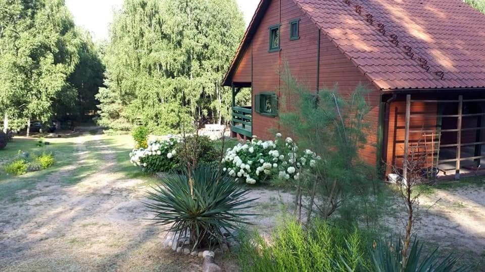 Domek letniskowy Pod brzozami Pszczew House in Poland