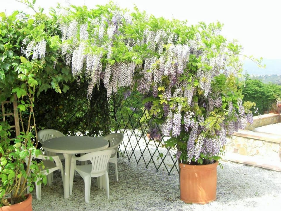 Spring, Garden, Garden view