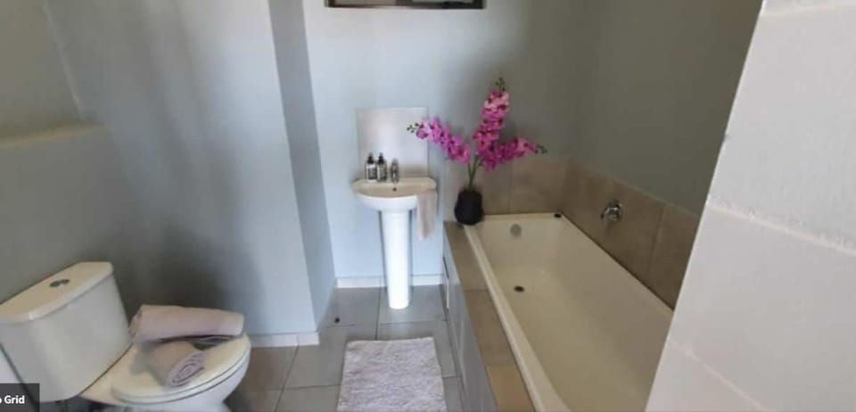 Toilet, Bathroom, Bath