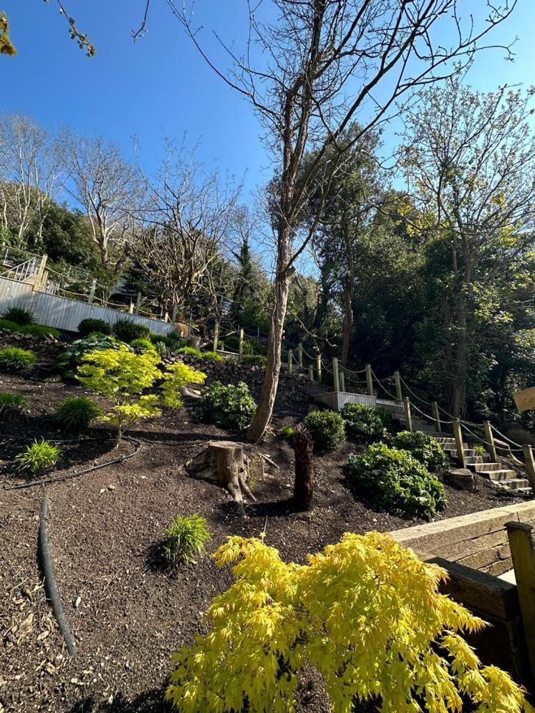 Natural landscape, Garden view