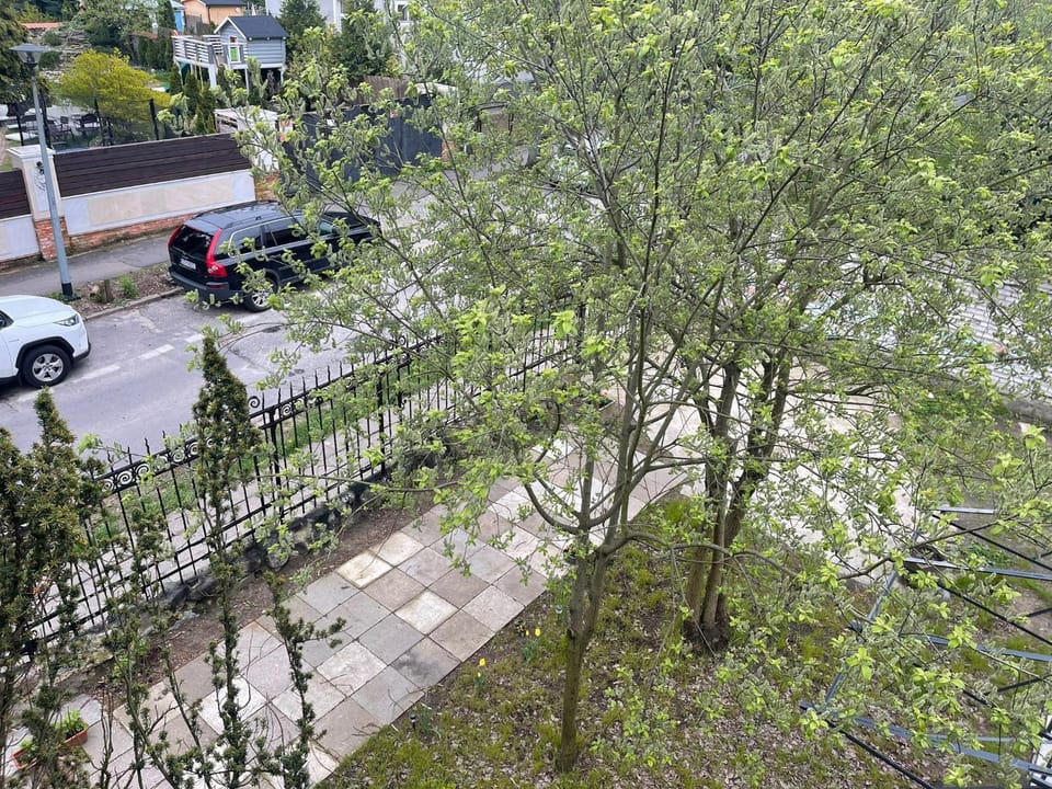 Bird's eye view, Garden