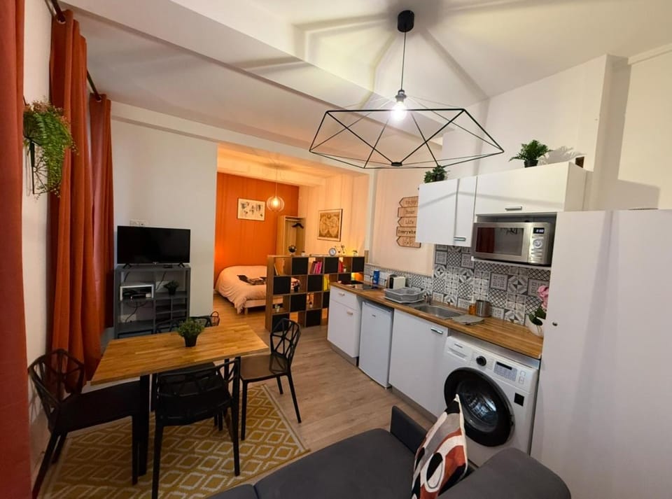 Les Studios du Centre Historique de Valence Apartment in Valence