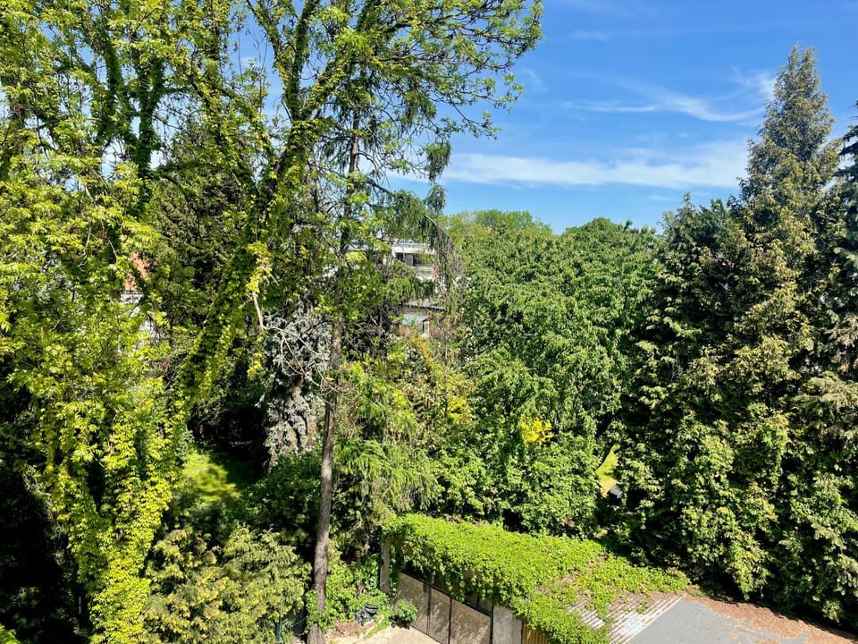 View (from property/room), Garden view