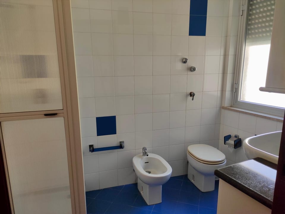 Shower, Toilet, Bathroom, bidet