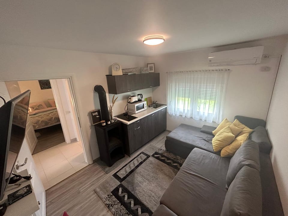 Living room, kitchen