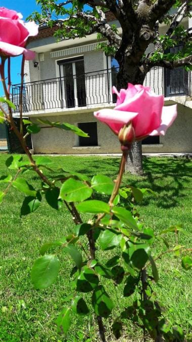 Spring, Garden view
