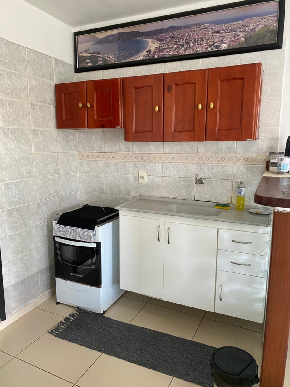 Communal kitchen, oven, stove