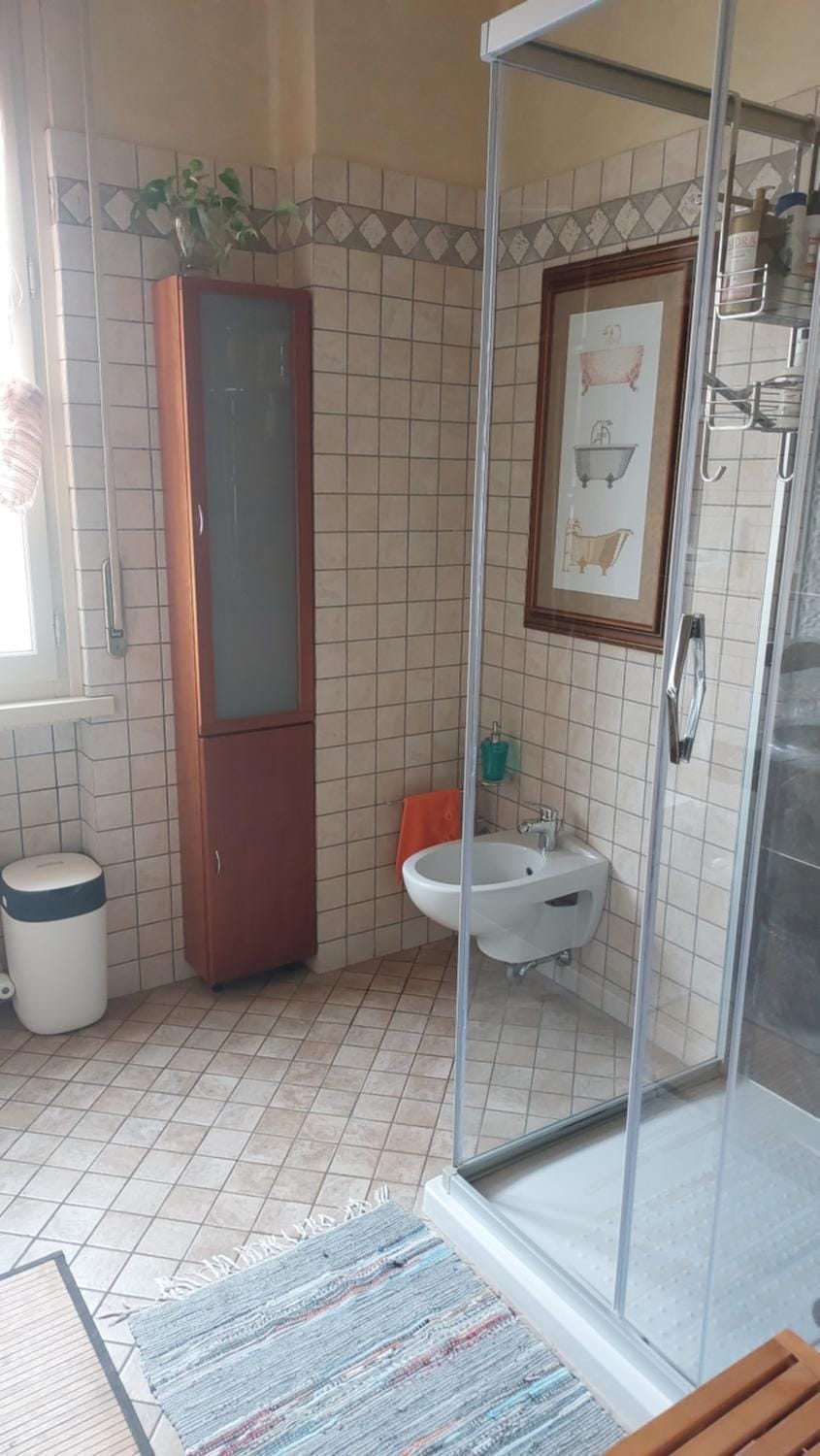 Shower, Bathroom, bidet