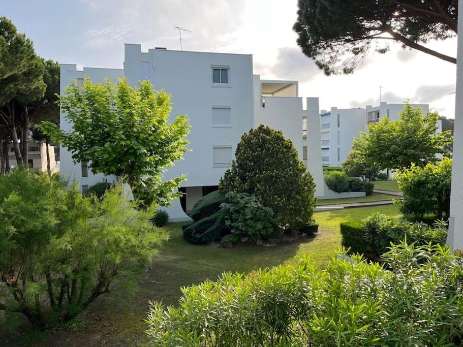 Property building, Garden, Garden view