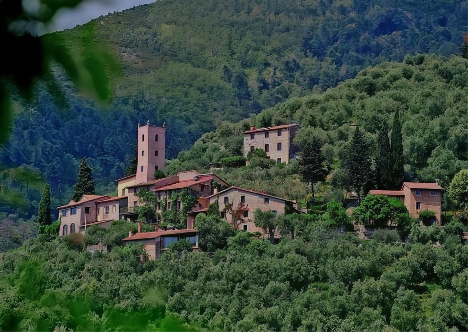 Property building, Natural landscape, View (from property/room)