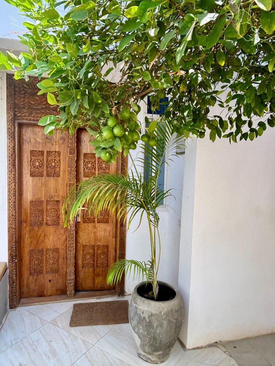 Samia House Apartment in Tanzania